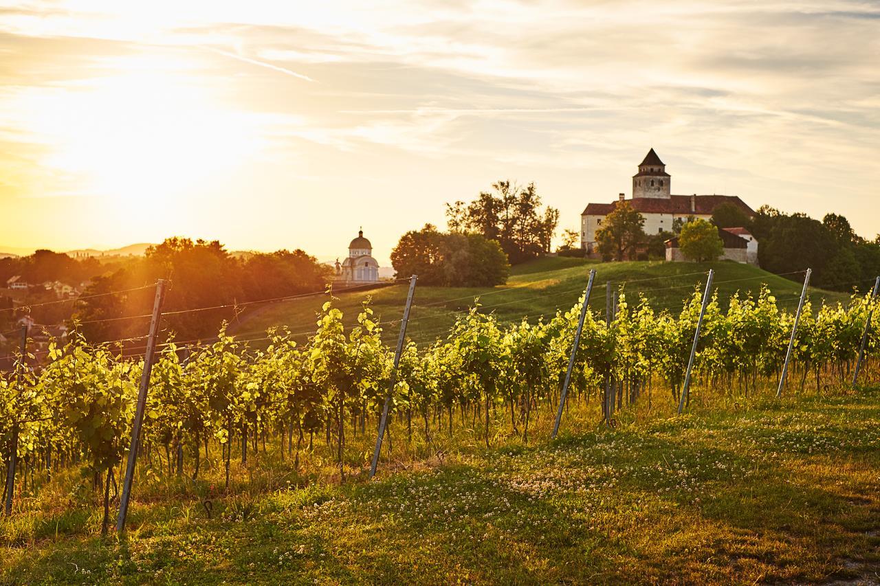 Loisium Wine & Spa Hotel Suedsteiermark Ehrenhausen Bagian luar foto