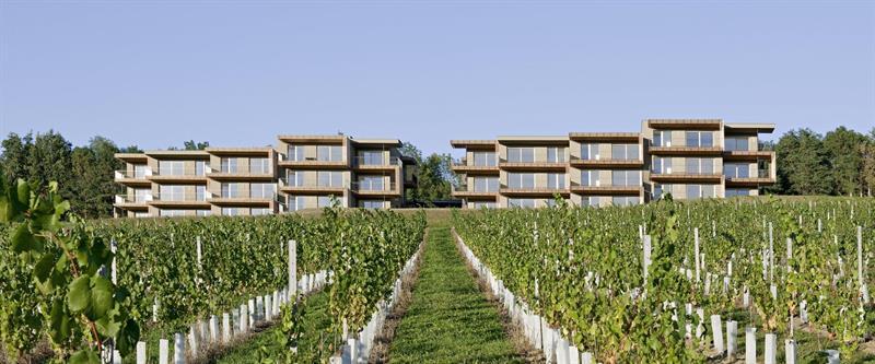 Loisium Wine & Spa Hotel Suedsteiermark Ehrenhausen Bagian luar foto